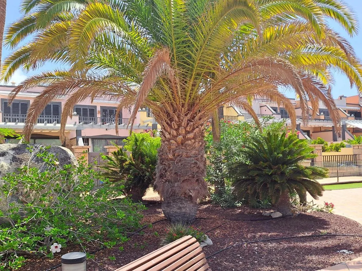 Modern Townhouse Ocean Front Villa Costa Adeje  Vakantiehuis Costa Adeje (Tenerife)